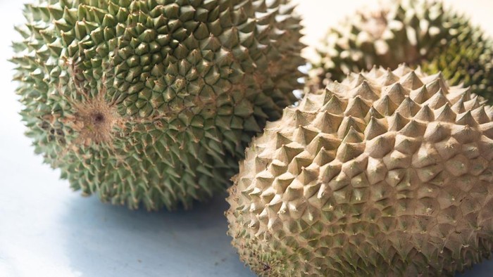 Durian Black Thorn asal Malaysia