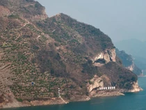 Viral Gunung Menyerupai Anak Anjing di China