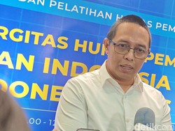 Hasan Nasbi Sebut Danantara Solusi Pembangunan Pusat Data AI di RI