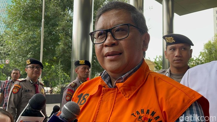 Hasto Kristiyanto (Azhar Bagas Ramadhan/detikcom)