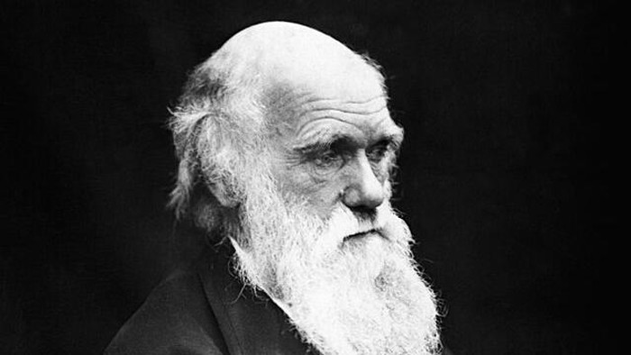 Ilustrasi potret Charles Darwin