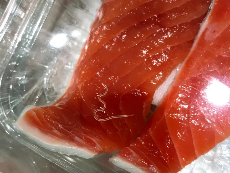 Ini Risiko Makan Sushi Menurut Dokter, Bisa Terjangkit Parasit!