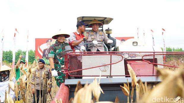 Irwasum pimpin panen raya jagung di Madiun