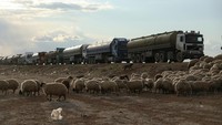Juru bicara kementerian minyak Suriah mengatakan pada Sabtu (22/2), Otoritas yang dipimpin Kurdi di timur laut Suriah telah mulai menyediakan minyak dari ladang-ladang minyak lokal yang mereka kelola kepada pemerintah pusat di Damaskus.