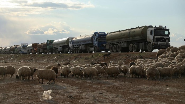 Oil tankers are parked along a road, as Kurdish-led authorities in northeast Syria have begun providing oil from local fields they manage to the central government in Damascus, Syrian oil ministry spokesman Ahmed Suleiman told Reuters, in Qamishli, Syria February 23, 2025. REUTERS/Orhan Qereman