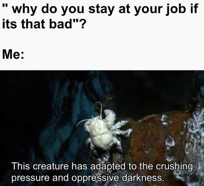 Kerja di bawah tekanan atau upah di bawah selayaknya bikin stres bertambah. Apalagi kalau dasarnya juga introvert, waduh hati-hati boncos deh social cost-nya.