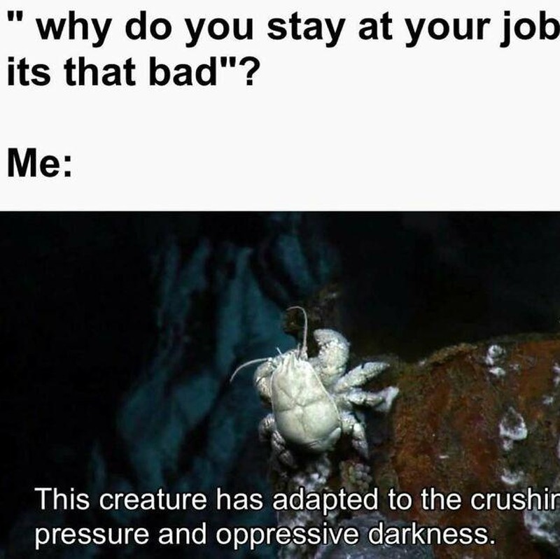 Kerja di bawah tekanan atau upah di bawah selayaknya bikin stres bertambah. Apalagi kalau dasarnya juga introvert, waduh hati-hati boncos deh social cost-nya.