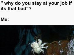 Lika-liku Kerja, yang Kantornya Toxic Pasti Terpanggil