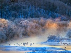 Karya Memukau Jawara Kontes Foto inFocus 2024