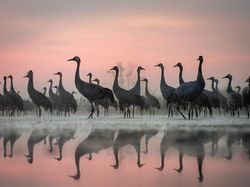 Karya Memukau Jawara Kontes Foto inFocus 2024