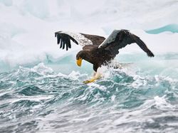 Karya Memukau Jawara Kontes Foto inFocus 2024