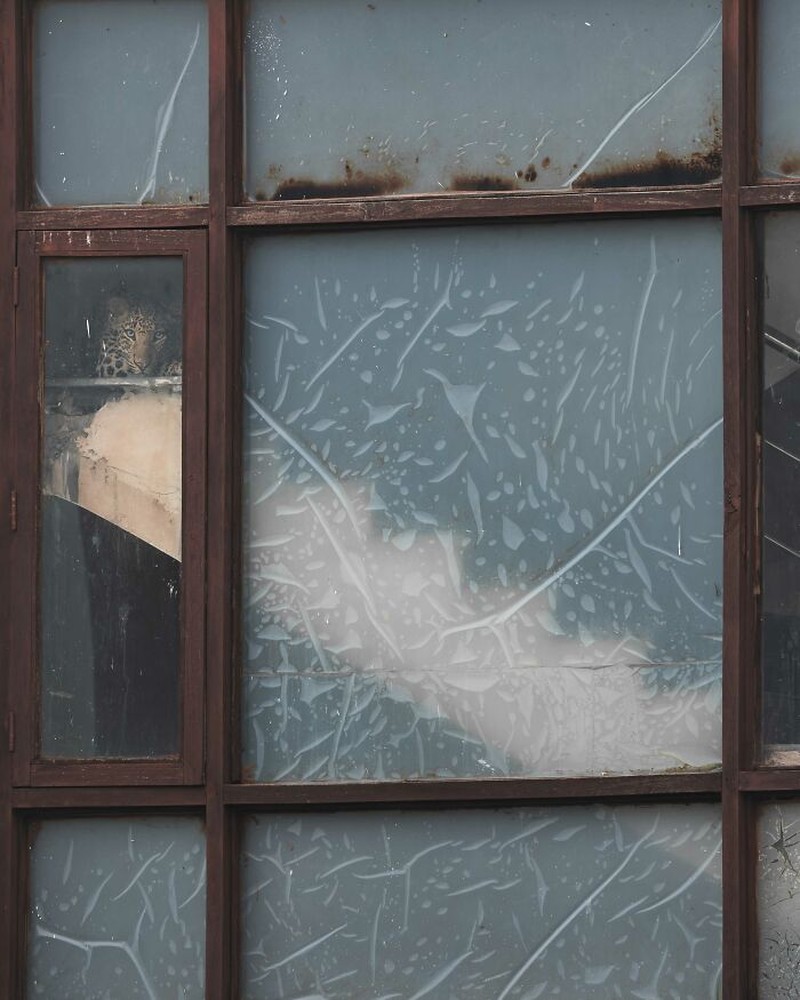 Nature inFocus Photography 2024