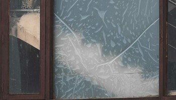 Juara Kedua Penghargaan Fotografi Konservasi Ramki Sreenivasan diraih Chaitanya Rawat. Lokasi: Jaipur, Rajasthan Seekor macan tutul mengintip dari balik bingkai jendela di sebuah gedung terbengkalai di Jaipur. Selain menjadi bukti kemampuan beradaptasinya, pemandangan ini juga menggarisbawahi hilangnya habitat alami. Seiring menyusutnya hutan, macan tutul masuk ke pemukiman manusia, sehingga meningkatkan risiko konflik antara manusia dan satwa liar. Foto: Nature Infocus