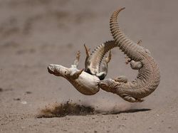 Karya Memukau Jawara Kontes Foto inFocus 2024