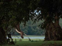 Karya Memukau Jawara Kontes Foto inFocus 2024