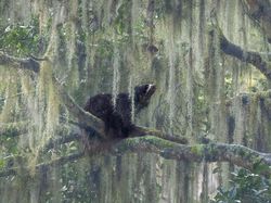 Karya Memukau Jawara Kontes Foto inFocus 2024