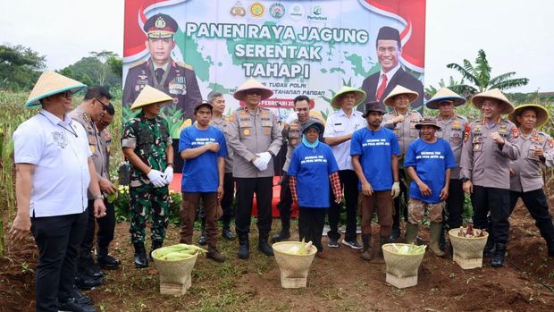 Polda Metro Jaya panen raya 1,25 ton jagung sukseskan ketahanan pangan nasional