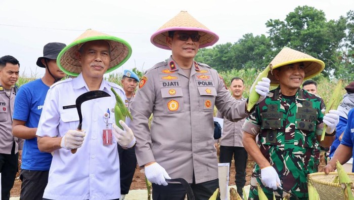 Polda Metro Jaya panen raya 1,25 ton jagung sukseskan ketahanan pangan nasional