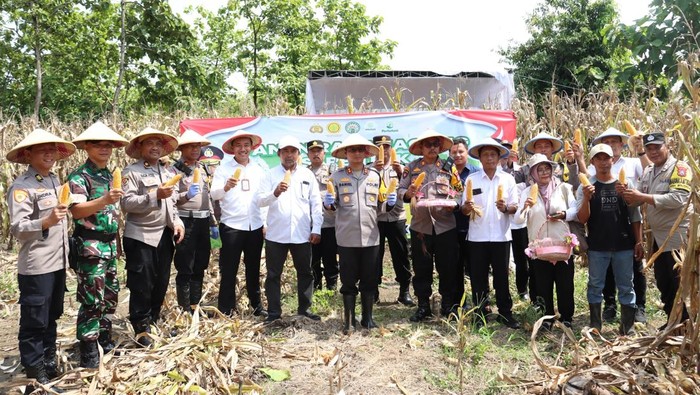 Polisi-Petani Panen 5 Ton Jagung di Mojokerto