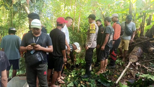 Proses evakuasi lansia yang jatuh ke jurang di Gianyar, Bali, Rabu (26/2/2025).