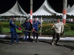 6 Personel Damkar Evakuasi Ular Piton 3 Meter Masuk Rujab Bupati Sinjai