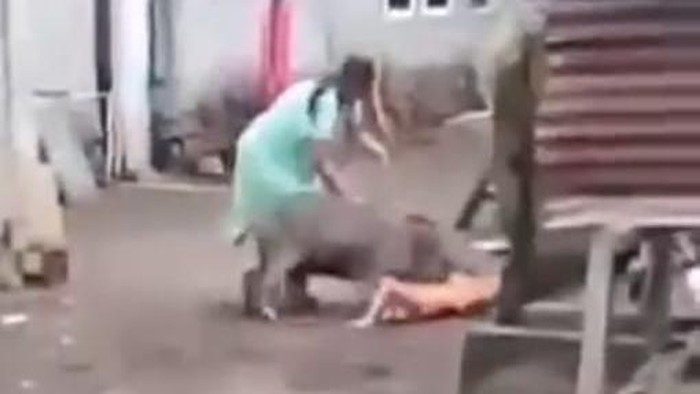 Tangkapan layar seorang wanita di Ternate berupaya menyelamatkan anaknya dari terkaman babi hutan.