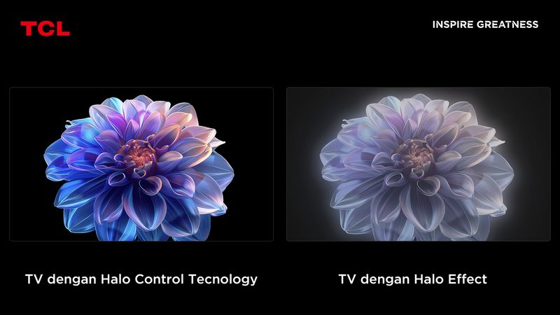 TCL C6KS