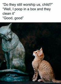 Sejumlah lukisan klasik ini dikemas oleh content creator di Instagram @classicaldamn dengan caption kocak. Kreatif banget dan lumayan bikin nyengir.