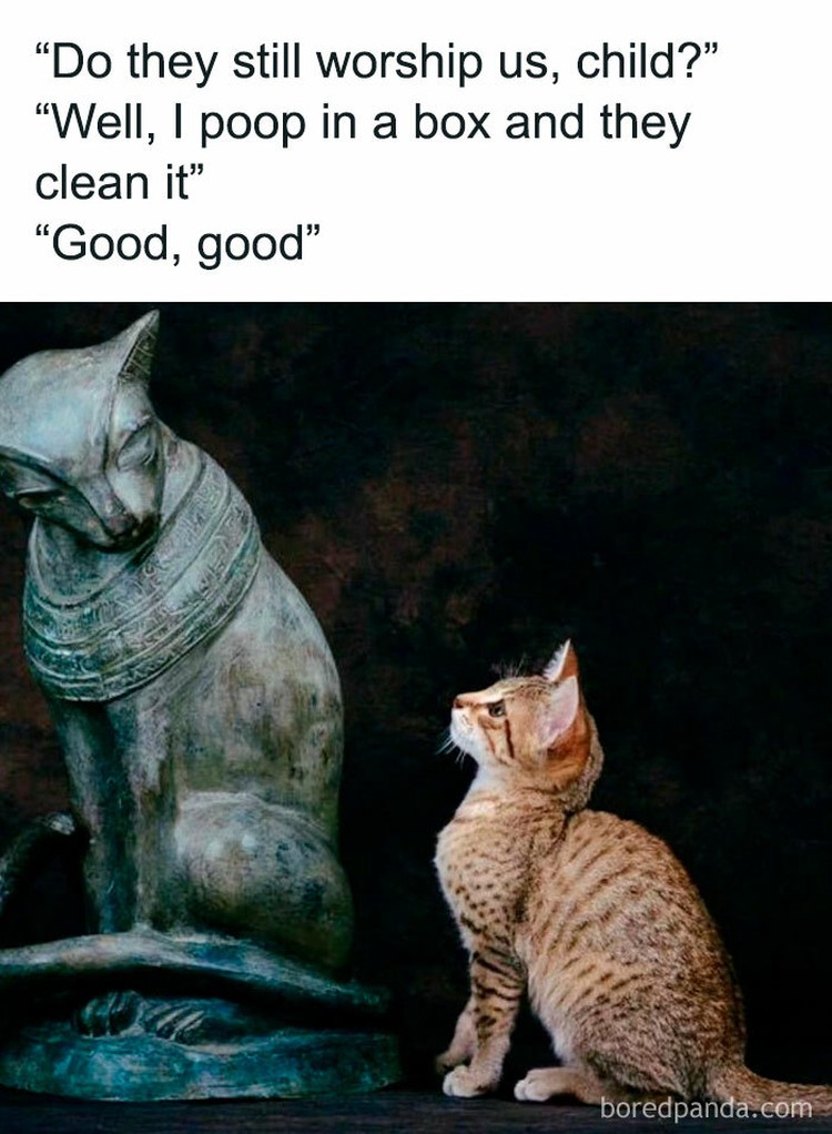 15 Lukisan Klasik yang Dikemas Jadi Meme Sejumlah lukisan klasik ini dikemas oleh content creator di Instagram @classicaldamn dengan caption kocak. Kreatif banget dan lumayan bikin nyengir.