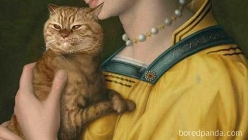 Kucingku adalah teman gosipku. Foto: classicaldamn via Bored Panda  