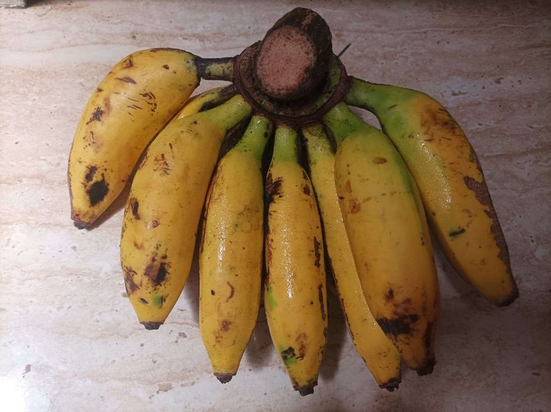 5 Jenis Pisang yang Paling Enak dan Legit Untuk Dibuat Kolak