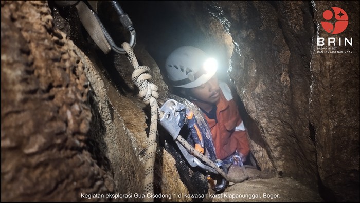 Ikan wader buta dari gua karst Bogor, Barbodes klapanunggalensis Ikan wader buta dari gua karst Bogor, Barbodes klapanunggalensis