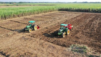 Pertanian: Penemuan pertanian sekitar 10.000 tahun lalu, merupakan titik balik penting dalam sejarah. Sebelum itu, manusia hidup sebagai pemburu-pengumpul, mengandalkan alam untuk makanan dan sumber daya. Gaya hidupnya nomaden, berpindah dari satu tempat ke tempat lain. Dengan pertanian, manusia menjinakkan tanaman dan hewan, memungkinkan mereka menetap di satu tempat dan mengembangkan permukiman permanen. Hal ini berdampak besar pada masyarakat manusia, mengarah pada pengembangan kota, kebangkitan peradaban, dan pertumbuhan populasi. Foto: dok. Istimewa