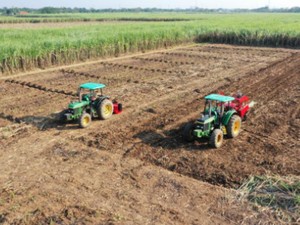 Kolaborasi Pemerintah-Stakeholder Kejar Target Swasembada Pangan Nasional