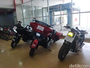 3 Moge Milik Rafael Alun-Eko Darmanto Dilelang, Begini Penampakannya