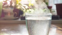 Heboh Tren Minum Air Hangat Disebut Bikin Perut Rata, Fakta atau Mitos?