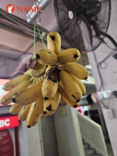 Pisangnya Dimakan Kelelawar, Toko Buah Ini Jadi Sorotan