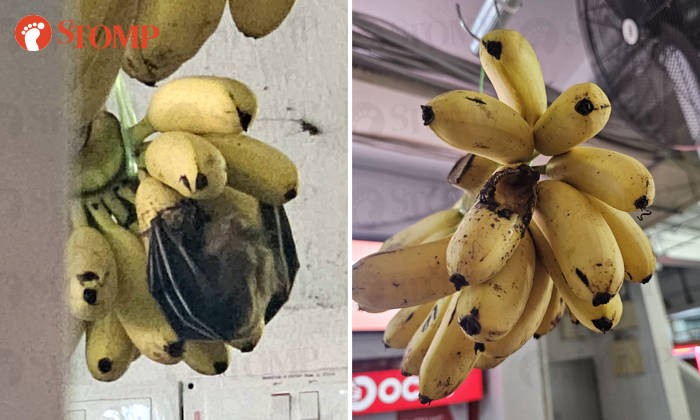 Pisangnya Dimakan Kelelawar, Toko Buah Ini Jadi Sorotan