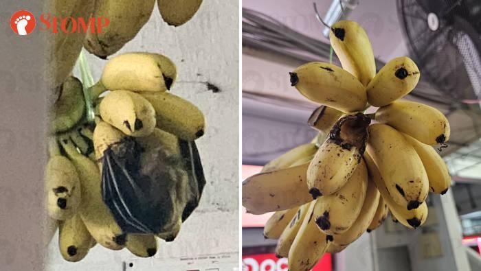 Pisangnya Dimakan Kelelawar, Toko Buah Ini Jadi Sorotan