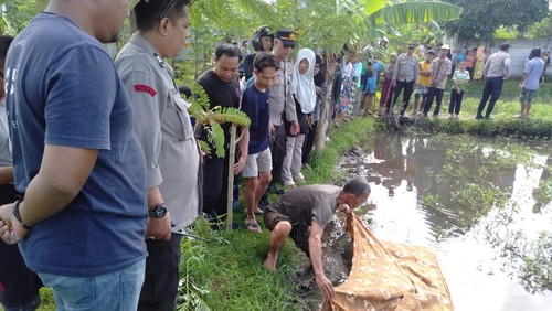Proses evakuasi jasad perempuan lansia yang ditemukan di kolam kangkung milik warga Kebon Talo, Kelurahan Ampenan Utara, Ampenan, Kota Mataram. (Foto: Istimewa)