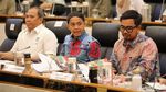 Momen Menhut Raker dengan Komisi IV DPR