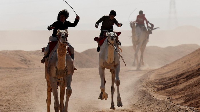 Aksi Anak-anak Mesir Jadi Joki Balapan Unta Bedouin children ride camels as they compete in the Ismailia Camel Racing Festival which is known as