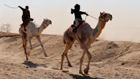 Anak-anak Badui menunggangi unta saat mereka berkompetisi dalam Festival Balap Unta Ismailia yang dikenal sebagai Sebaq Al-Hagen di gurun Sarabium di Ismailia, Mesir, Kamis (27/2/2025).  