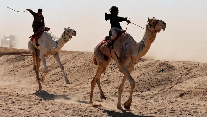 Bedouin children ride camels as they compete in the Ismailia Camel Racing Festival which is known as 