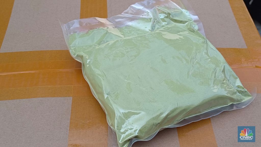 Bubuk Kratom. (CNBC Indonesia/Martyasari Rizky)