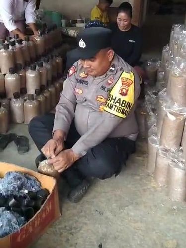 Budidaya jamur tiram Ipda Sunaryo di Sarolangun