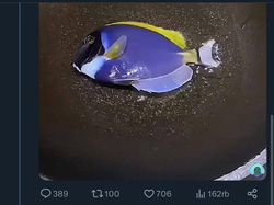 Bukti Netizen +62 Emang Random Abis, Kagak Habis Pikir