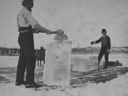 Foto Profesi Zaman Dulu yang Mengagetkan