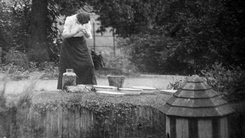 Para kolektor lintah (biasanya wanita) berkeliaran di kolam dengan gaun mereka naik, mengumpulkan lintah dengan kaki telanjang mereka. Mereka kemudian mengumpulkan lintah yang melekat dan menjualnya kepada dokter setempat, yang menggunakannya untuk pertumpahan darah. Foto: Boredpanda