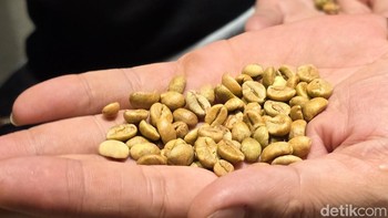 Fitur ini sangat bermanfaat ketika mengikuti workshop meracik secangkir kopi Vietnam di salah satu kedai kopi. Walaupun barista hanya berbicara dalam bahasa Vietnam, semua instruksinya bisa mudah dipahami berkat fitur Interpreter. Foto: Virgina Maulita Putri/detikINET
